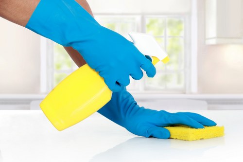 End of tenancy cleaning in a Kennington apartment