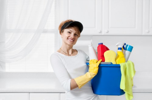 Accessibility support request section for Kennington Cleaner